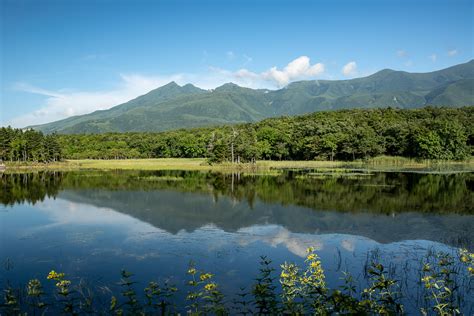 Hokkaido Wildlife Guide .